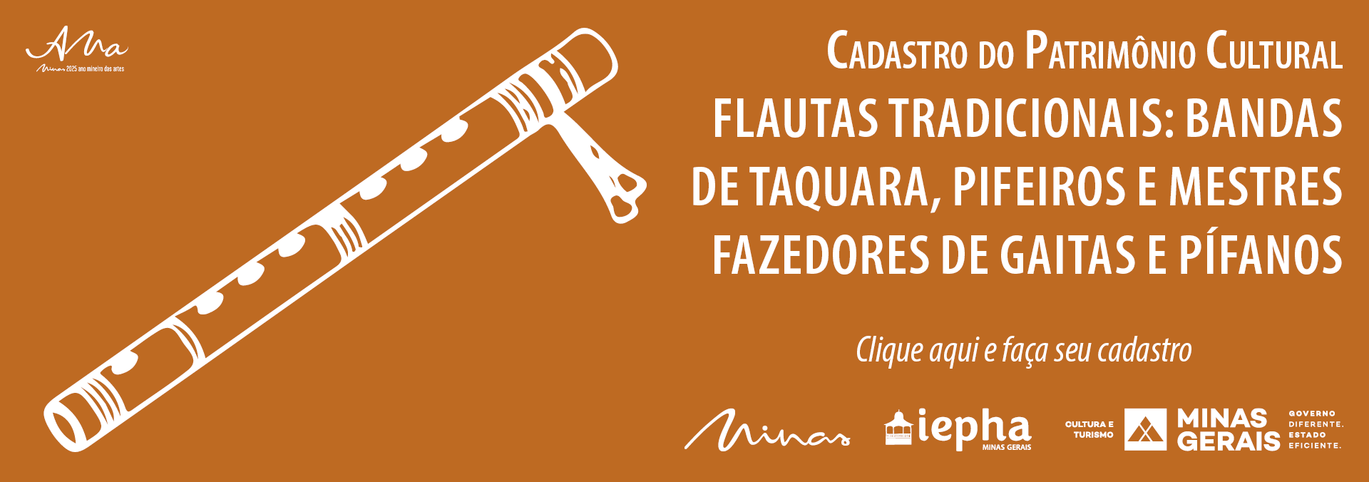 Cadastro Flautas