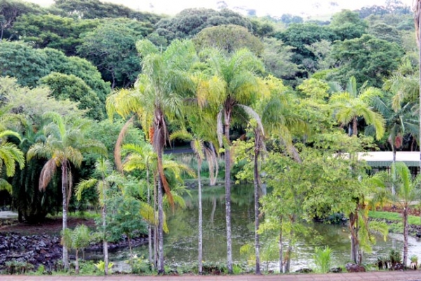 o-parque-e-os-jardins-tiveram-a-concepcao-de-roberto-burle-max-1944405D9F62-5F97-0B09-69F6-FFD3C2A89095.jpg