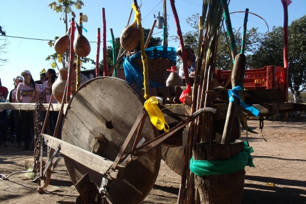 carro-de-boi-enfeitado-na-festa-do-carro-do-boi-em-vila-do-morro-municipio-de-sao-franciscomg-acervo-nuhicreiephaDBC04BC4-BBFD-7E12-8D39-C23B79C8D44C.jpg